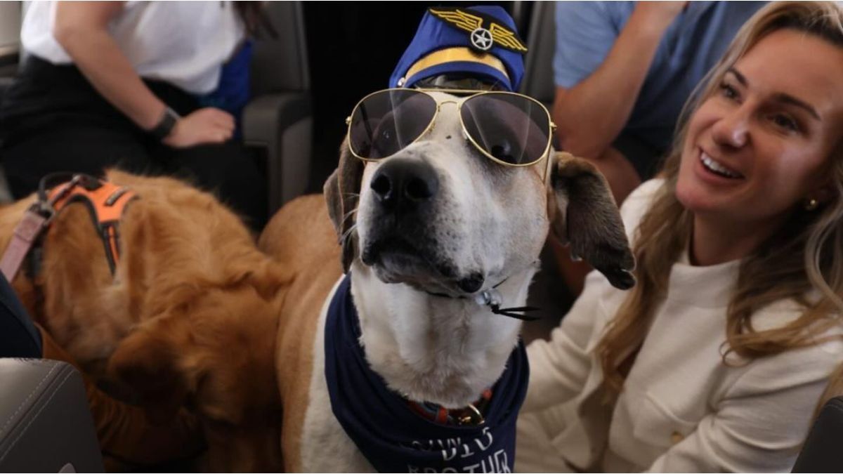 An airline made the first flight exclusively for pets