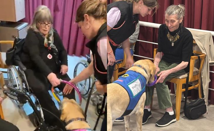 Los animales actúan como facilitadores del vínculo y reducen la sensación de aislamiento en la vejez. Los animales actúan como facilitadores del vínculo y reducen la sensación de aislamiento en la vejez.