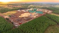 planta de energia a partir de biomasa mas grande del pais invertira u$s200 m para duplicar su produccion