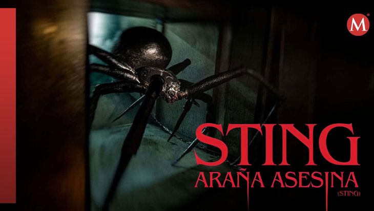 Prime Video launches a film that converts a simple spider in the center of an unstoppable horror that leaves the most brave breath. Prime Video launches a film that converts a simple spider in the center of an unstoppable horror that leaves the most brave breath.