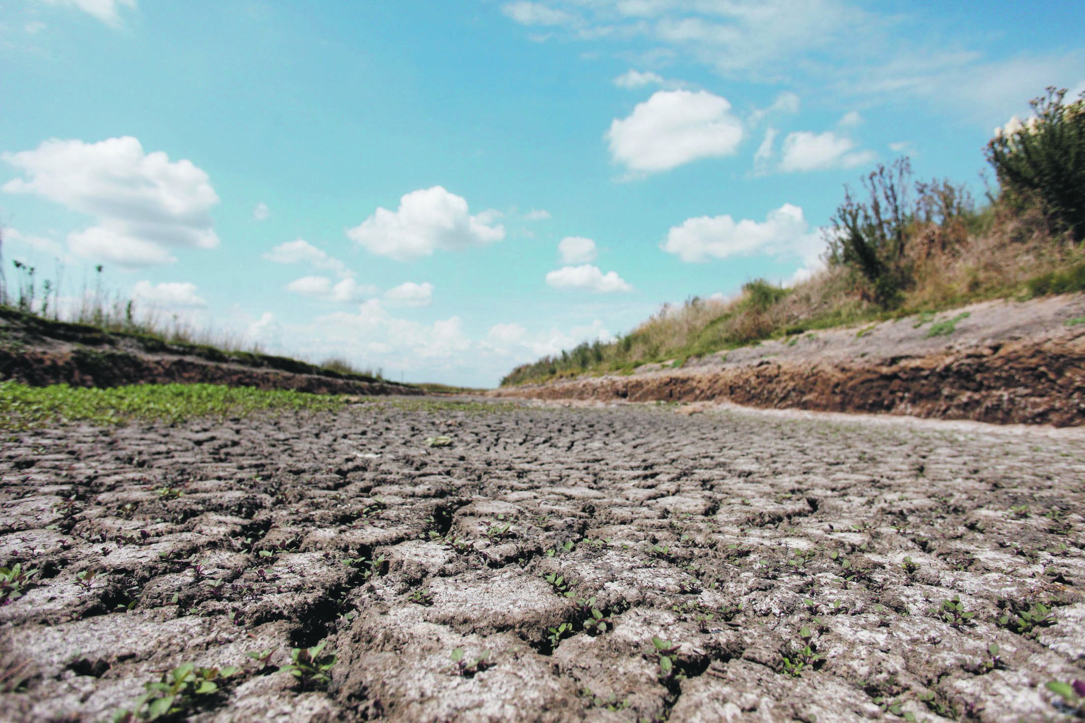 The Government declared an agricultural emergency in three provinces