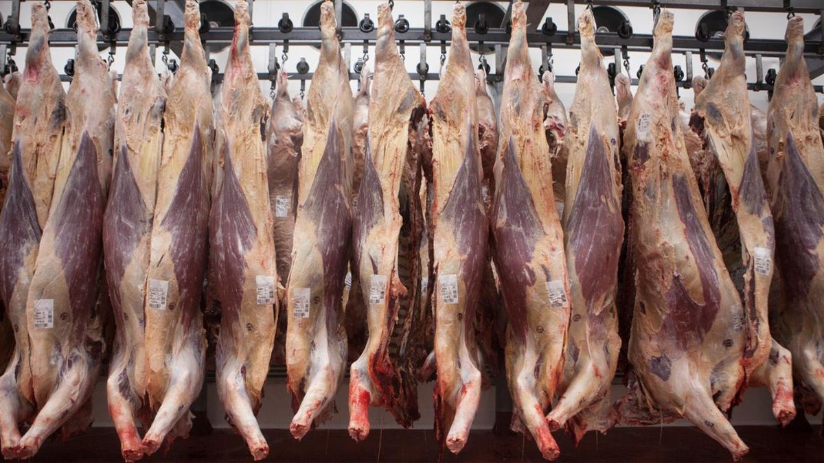 La Aduana actualiza los valores de referencia para la exportación de carne bovina