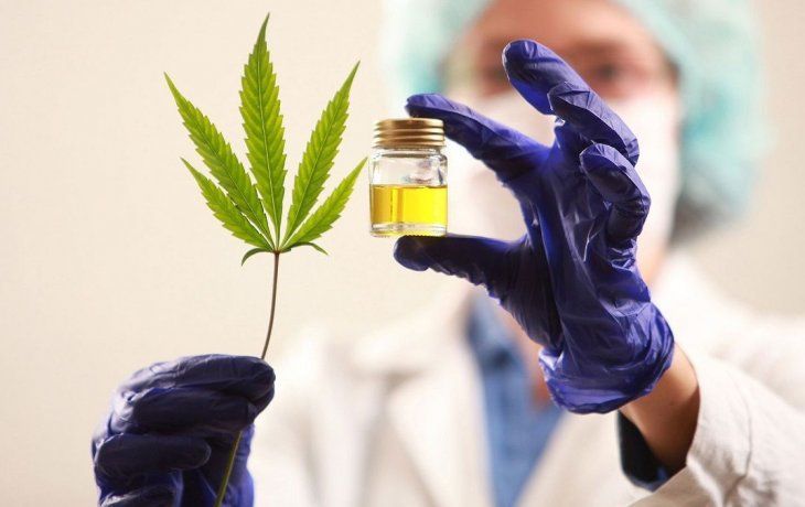 La Cámara Argentina de Cannabis celebró el impulso al desarrollo de la industria