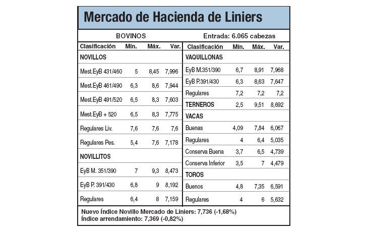 Amplia demanda hizo subir los precios