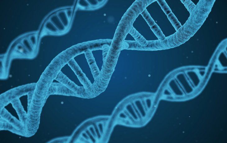 ámbito.com | ADN biotecnología