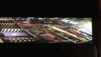 Curioso: ciervo sorprendió a rosarinos al correr por zona de bares e ingresar a un local