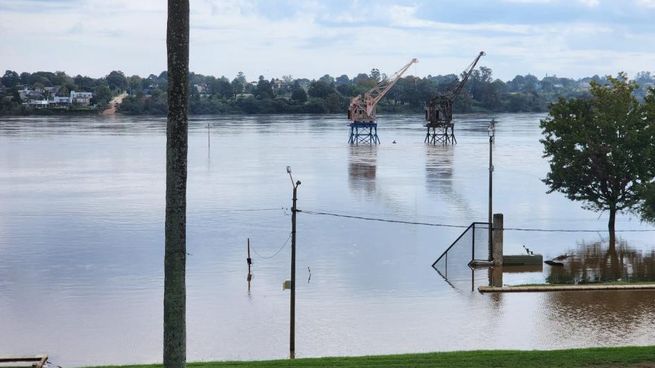 El MGAP decretó la emergencia agropecuaria por exceso hídrico, tras las últimas lluvias y las inundaciones.