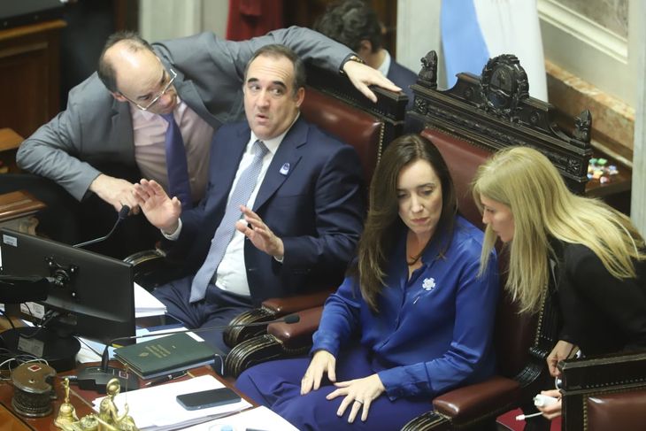 Victoria Villarruel encabezó la sesión de la ley Bases. Victoria Villarruel encabezó la sesión de la ley Bases.