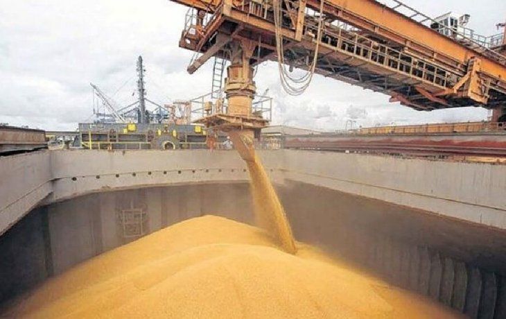 Viterra una vez más se posicionó como la principal exportadora de subproductos y aceites. 