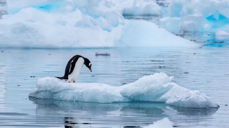 Antarctica. Antarctica.