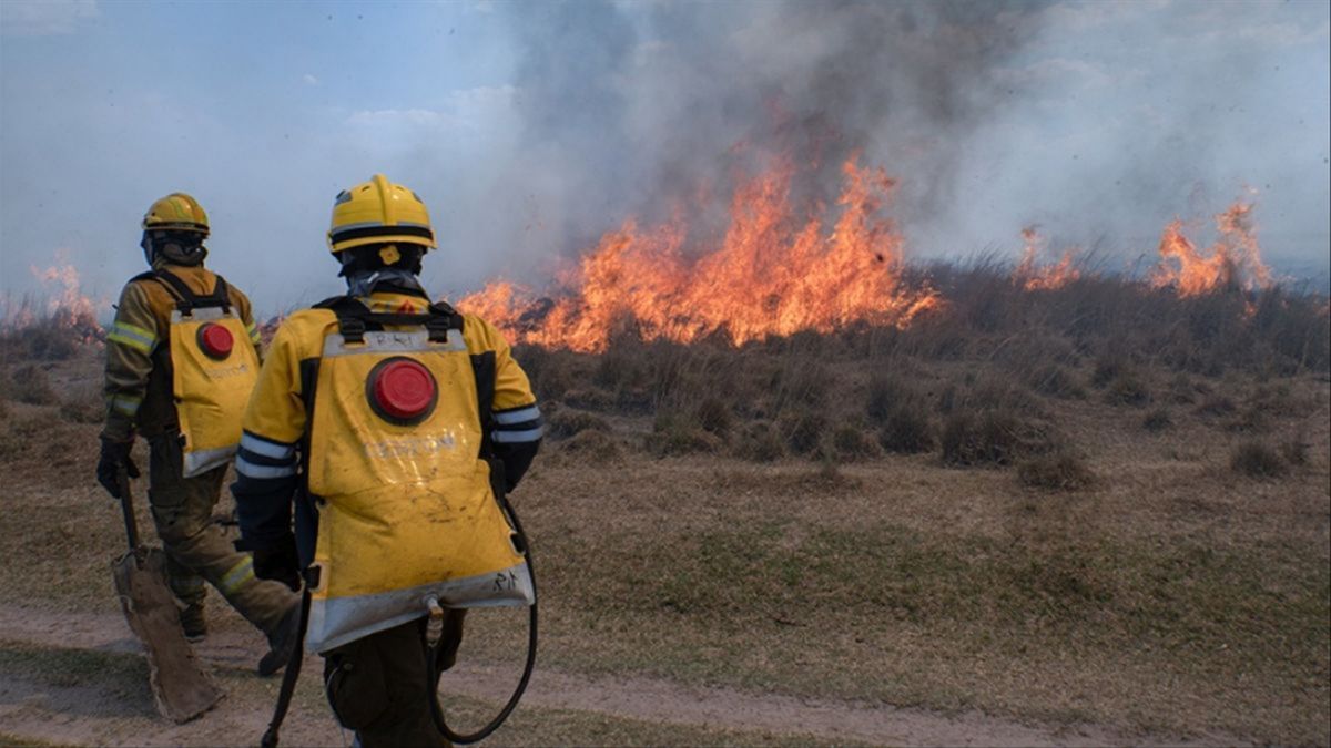 Fire in Corrientes: A dead teacher and more than 20,000 hectares razed by fire