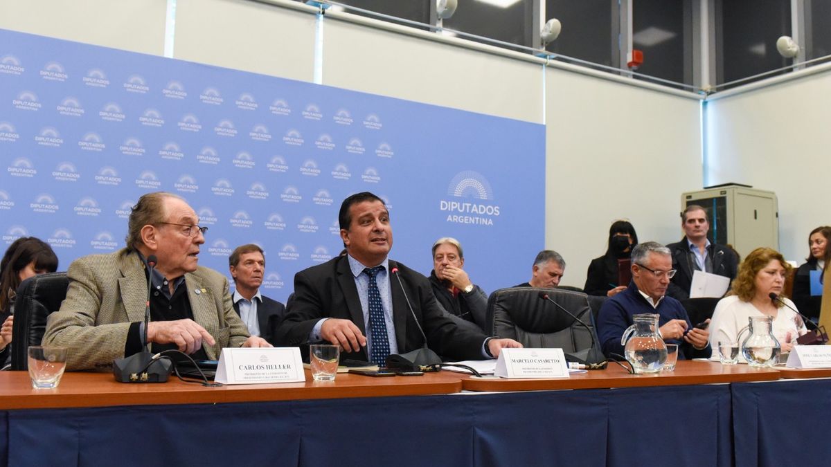 Diputados: amplio aval del sector a la ley de inversiones para las automotrices