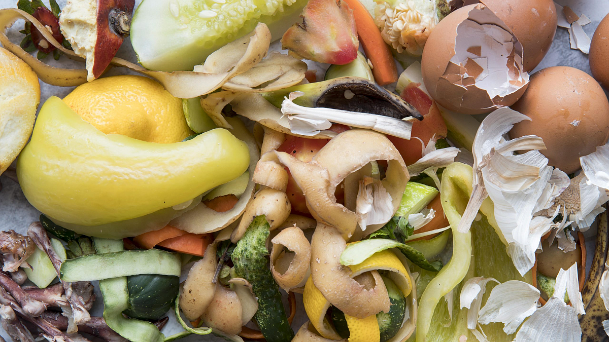 How much food we waste and how can we avoid it?