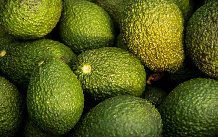 Palta: el oro verde que desata una ola de robos en Sudáfrica
