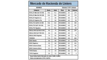 Los terneros cayeron el 2,5%