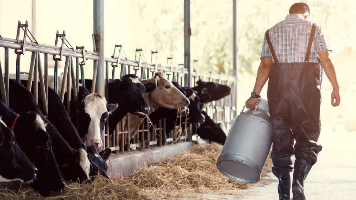 The third disbursement of ,573 million for dairy farmers is approved