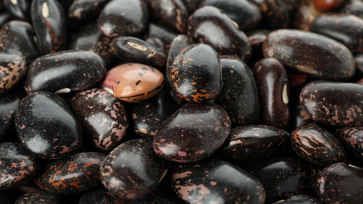 Customs discovered a triangulation to export underinvoiced black beans