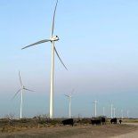 Vacas y energías renovables. La Pampa avanza con un plan a 20 años para cambiar su matriz energética, que brinde sostenibilidad a la agroindustria y nuevos emprendimientos productivos.