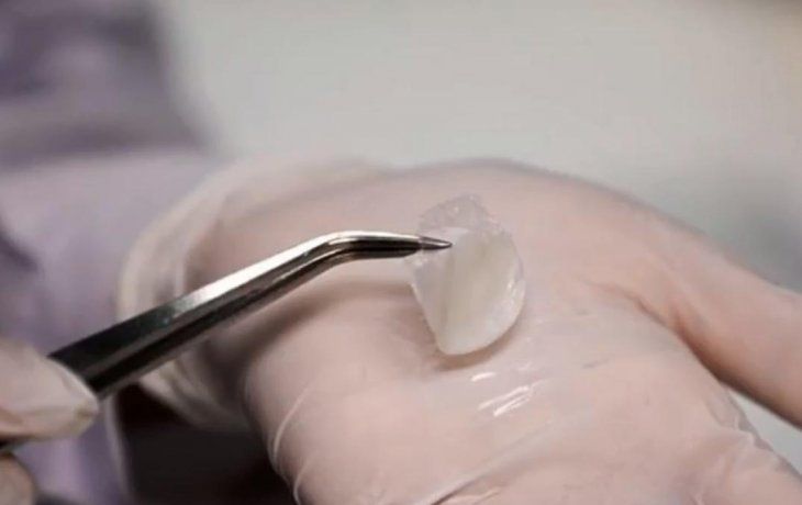 La piel se puede usar para evaluar la toxicidad o el potencial de irritación de una sustancia y las cualidades penetrantes de los ingredientes activos en productos como los cosméticos.