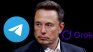Telegram fuces with Grok to incorporate it as Ia. Telegram fuces with Grok to incorporate it as Ia.