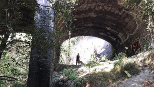 El parque oculto con puentes antiguos de la CDMX para disfrutar una tarde lejos del ruido en diciembre 2025