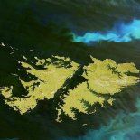 El acuerdo de 1966 reconoció la disputa de soberanía y abrió un proceso de negociaciones entre la Argentina y el Reino Unido. El acuerdo de 1966 reconoció la disputa de soberanía y abrió un proceso de negociaciones entre la Argentina y el Reino Unido.