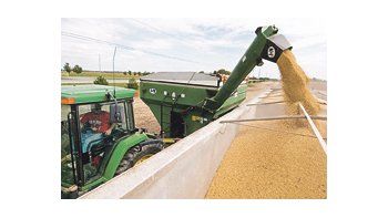 Las autoridades chinas no confirmaron la prohibición a las importaciones de aceite de soja pero dijeron que comenzaron a aplicarse los nuevos estándares de calidad.