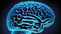 Todos los 22 de julio se celebra en todo el mundo el Día del Cerebro.