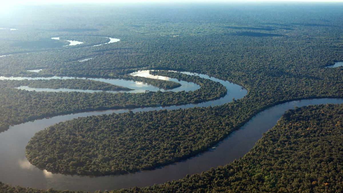 How did climate change affect the Amazon in 2023?