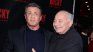 Sylvester Stallone and Burt Young starred in 6 Rocky movies. Sylvester Stallone and Burt Young starred in 6 Rocky movies.