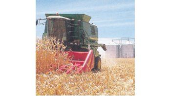 La producción mundial de maíz el año pasado fue de 893 millones de toneladas.