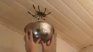 Spiders are usually one of the most common insects in homes and gardens. Spiders are usually one of the most common insects in homes and gardens.