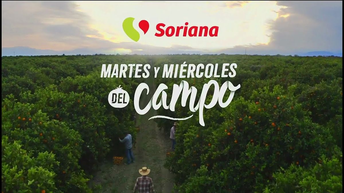 Wtorkowe i środowe oferty z Campo de Soriana w dniach 19 i 20 marca 2024 r