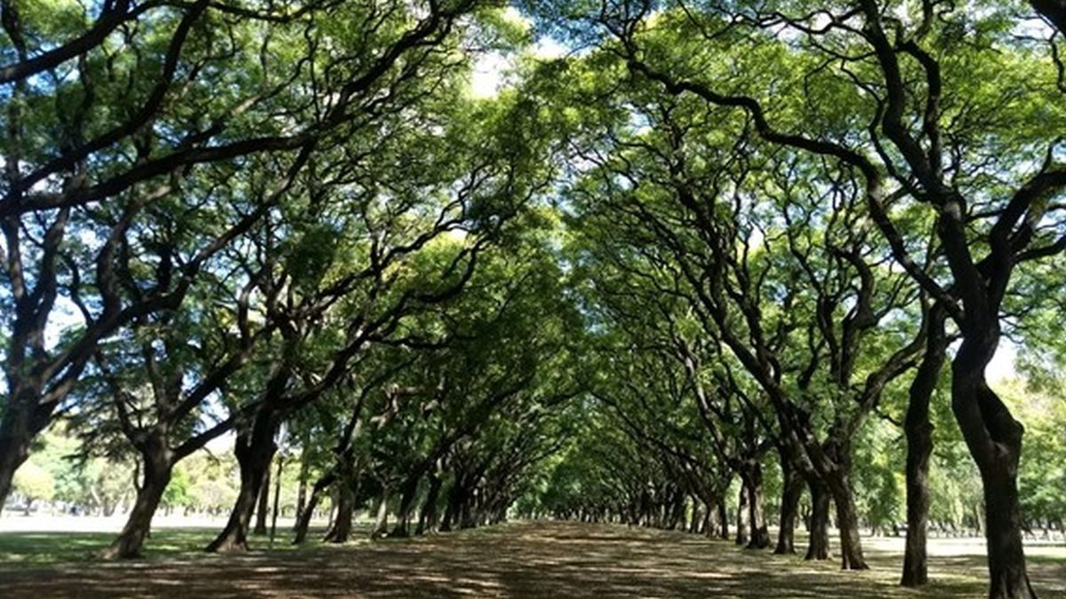 Nation dictates a free and self-managed course to train on Nature Tourism Nation dictates a free and self-managed course to train on Nature Tourism