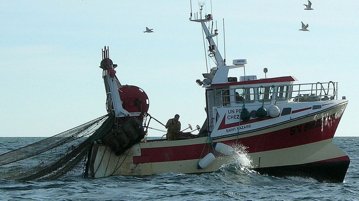 The federal fishing Council extended for 180 days the reduction of the tariff for captures processed on land