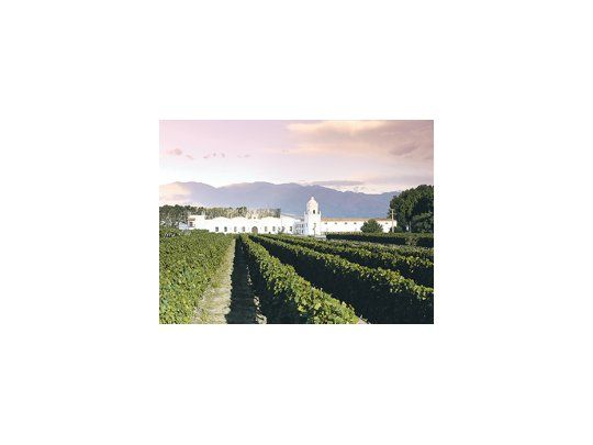 De norte a sur, los vinos argentinos seducen al mundo