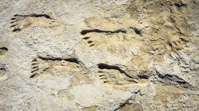 También se identificaron huellas de animales, mamuts y lobos prehistóricos.&nbsp;