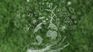 Sustainable bonds, the wave that the next president cannot miss Sustainable bonds, the wave that the next president cannot miss