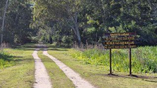 La reserva natural El Destino preserva los ecosistemas más representativos de la región ribereña bonaerense.