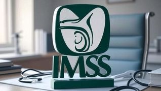 Checa toda la información del IMSS en esta nota. 