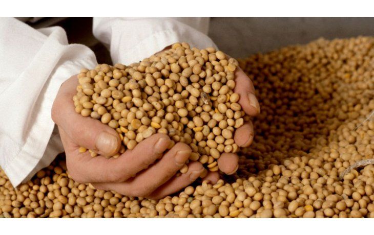 La soja rebotó un 2,5% a u$s 376,11