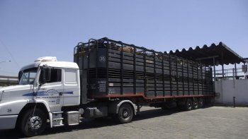 sobresale el rojo en el semaforo de las economias regionales elaborado por coninagro