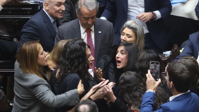 Santillán (La Libertad Avanza) y Penacca (Unión por la Patria) fueron las que más efusivas en su discusión.