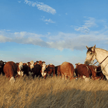Ana Paula Grosso comparte contenido sobre vida rural y producción agropecuaria, y refleja una tendencia que crece especialmente entre las nuevas generaciones. Ana Paula Grosso comparte contenido sobre vida rural y producción agropecuaria, y refleja una tendencia que crece especialmente entre las nuevas generaciones.