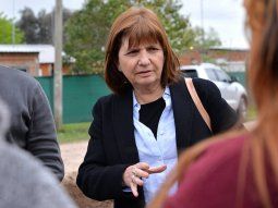 Patricia Bullrich, presidenta del PRO Patricia Bullrich, presidenta del PRO