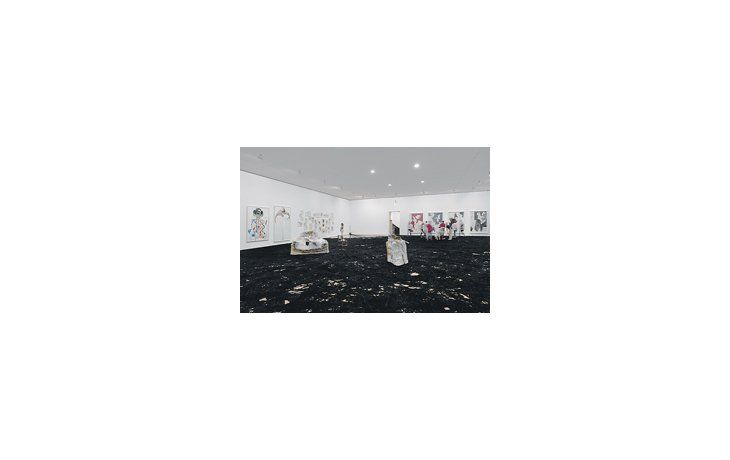 Bienal de Arte Contemporáneo de Lyon. Hacia la izq., dibujos de Marina de Caro (Arg.), sobre el piso «La bruja» de Meireles (Br.) y esculturas de Jessica Hutchins (EE.UU.).