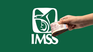 IMSS debe entregar pensiones a todas las concubinas de un fallecido. IMSS debe entregar pensiones a todas las concubinas de un fallecido.