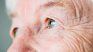 At each age, nutritional needs evolve. At each age, nutritional needs evolve.