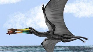 Las aves y los pterosaurios no compartieron el mismo camino evolutivo al adaptarse al vuelo.