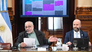 El Senado debate un proyecto que roza el caso Loan.&nbsp;